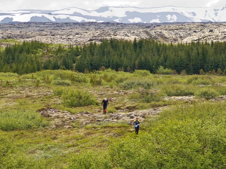 ICEO 2025 Orienteering in Iceland